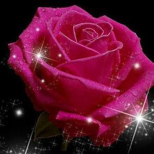 Meet your Posher, Martha